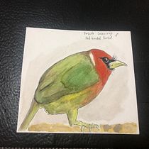 Mi Proyecto del curso: Acuarela artística para ilustración de aves. Traditional illustration, Watercolor Painting, Realistic Drawing, and Naturalistic Illustration project by Ana Lorena Zamora López - 11.22.2021