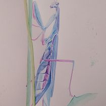 My project in Experimental Watercolor Techniques for Beginners course. Un progetto di Illustrazione tradizionale, Belle arti, Pittura ad acquerello e Illustrazione naturalistica di Lýdia Čačková - 26.11.2021