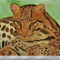 Mi Proyecto del curso: Ilustración científica de animales en acuarela. Traditional illustration, Watercolor Painting, Realistic Drawing, and Naturalistic Illustration project by Maribel de la Torre - 11.26.2021