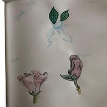 Meu projeto do curso: Caderno botânico em aquarela. Projekt z dziedziny Trad, c, jna ilustracja, Malowanie akwarelą, R, sunek botaniczn i Sketchbook użytkownika leonardo_golob - 27.11.2021