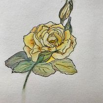 My project in Botanical Sketchbooking: A Meditative Approach course. Ilustração tradicional, Esboçado, Desenho, Pintura em aquarela, Ilustração botânica, e Sketchbook projeto de Susanne Taudte - 27.11.2021