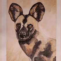 My project in Expressive Animal Portraits in Watercolor course. Un projet de Illustration traditionnelle, Aquarelle, Dessin réaliste et Illustration naturaliste de Dorinda Balchin - 27.11.2021