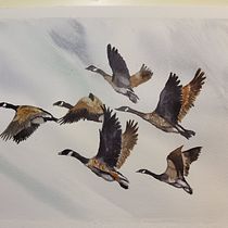 My project in Artistic Watercolor Techniques for Illustrating Birds course . Traditional illustration, Watercolor Painting, Realistic Drawing, and Naturalistic Illustration project by danielblouin148 - 11.27.2021