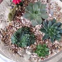 Mi Proyecto del curso: Arte vegetal: Mi primer terrario. Interior Design, L, scape Architecture, Decoration, and DIY project by Jacquelin Bobea Torres - 11.27.2021