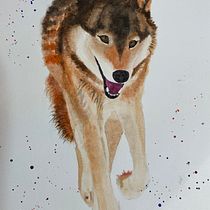 Mi Proyecto del curso: Retratos expresivos de animales en acuarela. Un projet de Illustration traditionnelle, Aquarelle, Dessin réaliste et Illustration naturaliste de Paula Hernandez - 27.11.2021