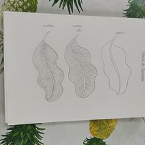 Mon projet du cours : Carnet botanique à l’aquarelle. Projekt z dziedziny Trad, c, jna ilustracja, Malowanie akwarelą, R, sunek botaniczn i Sketchbook użytkownika Larissa BERNARD - 28.11.2021