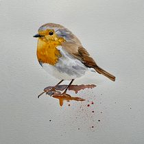 My project in Artistic Watercolor Techniques for Illustrating Birds course. Traditional illustration, Watercolor Painting, Realistic Drawing, and Naturalistic Illustration project by Sarah Altrock - 11.24.2021