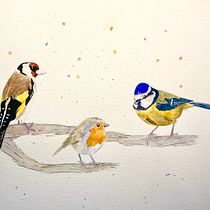 Mon projet du cours : Techniques artistiques d'aquarelle pour illustrer les oiseaux. Traditional illustration, Watercolor Painting, Realistic Drawing, and Naturalistic Illustration project by alice_clement_thimel - 11.28.2021