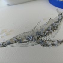 Mi Proyecto del curso: Técnicas de ilustración naturalista: ballenas en acuarela. Un progetto di Illustrazione tradizionale, Design di poster , Illustrazione digitale e Manga di Daniela Tamara Palominos Gonzalez - 28.11.2021