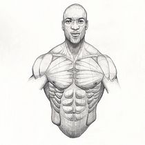 Ronnie Coleman. Un progetto di Illustrazione tradizionale, Character design, Fumetto, Disegno a matita e Disegno anatomico di Jose Molina Rosillo - 19.11.2021