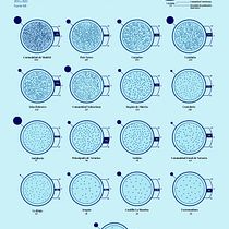 Densidad de Población por Comunidades Autónomas en España Ein Projekt aus dem Bereich Informationsdesign, Interaktives Design und Infografik von Francisco Javier Vega Cabello - 27.11.2021