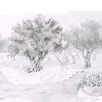 8-year-old kids harvesting olives. Traditional illustration, Sketching, Pencil Drawing, Drawing, Figure Drawing, Fine Arts, and Artistic Drawing project by velhadaldeia - 11.30.2021