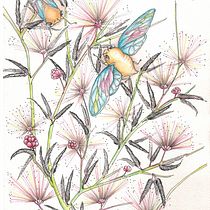 Cicadas on Rose Caliandra - Cigarras sobre Caliandra Rosa . Traditional illustration, Drawing, Watercolor Painting, and Naturalistic Illustration project by claudia regina - 11.30.2021