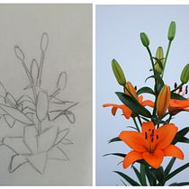 My project in Botanical Illustration with Watercolors course. Ilustração tradicional, Artes plásticas, Pintura, Desenho, Pintura em aquarela e Ilustração botânica projeto de Maryna Isaikina - 30.11.2021