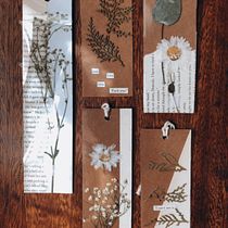 Meu projeto do curso: Técnicas básicas para prensar flores e plantas. Arts, Crafts, Fine Arts, Collage, DIY, Floral, and Plant Design project by Raquel Cristina Francisco - 11.30.2021