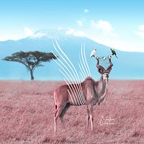 My project in Fantastical Photomontage and Illustrations in Photoshop course. Photograph, Collage, Photo Retouching, Digital Illustration, Photographic Composition, and Photomontage project by Mustapha Ouhamou - 11.26.2021