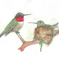 " Ruby Pair". Traditional illustration, Watercolor Painting, Realistic Drawing, and Naturalistic Illustration project by krcsyqnm6k - 12.02.2021