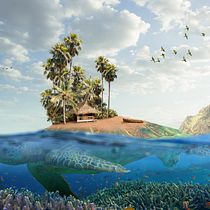 Turtle Island. Een project van Fotografie, Collage, Retoucheren van foto's, Artistieke fotografie, Fotografische compositie y Fotomontage van mattgalbiati - 03.12.2021