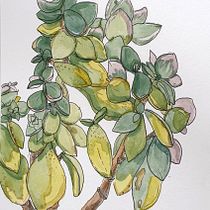 My project in Botanical Sketchbooking: A Meditative Approach course. Traditional illustration, Sketching, Drawing, Watercolor Painting, Botanical Illustration, and Sketchbook project by Sofia - 12.04.2021
