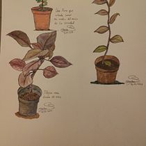 Mi Proyecto del curso: Dibujo para principiantes nivel -1. Pencil Drawing, Drawing, Creating with Kids, and Sketchbook project by Cristina Marin - 12.05.2021