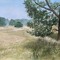 Mijn project van de cursus: Natuurlijke landschappen creëren met aquarel. Projekt z dziedziny  Sztuki piękne,  Malarstwo i Malowanie akwarelą użytkownika Kees Mackenbach - 05.12.2021