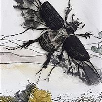 My project in Experimental Illustration with India Ink and Acrylics course. Traditional illustration, and Fine Arts project by Anneke de Klerk - 01.26.2021