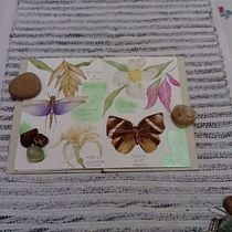 Meu projeto do curso: Diário naturalista em aquarela. Traditional illustration, Watercolor Painting, Botanical Illustration, Sketchbook, and Naturalistic Illustration project by Edi Assis - 12.06.2021