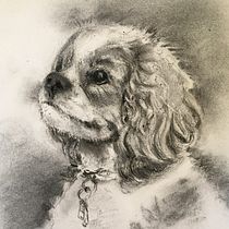 Lily. Ilustração tradicional, Artes plásticas, Esboçado, Desenho, Desenho de retrato, e Desenho artístico projeto de Christine Detrick - 06.12.2021