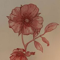 My project in Modern Watercolor Techniques course. Un progetto di Illustrazione tradizionale, Belle arti, Pittura e Pittura ad acquerello di fianabma - 06.12.2021