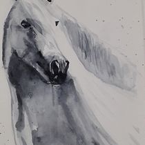Meu projeto do curso: Retratos expressivos de animais em aquarela. Un projet de Illustration traditionnelle, Aquarelle, Dessin réaliste et Illustration naturaliste de Mariele Wanderlene Vieira Cequinel - 06.12.2021