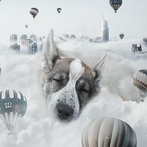 My project in Surrealistic Photomontage with Photoshop course. Projekt z dziedziny Postprodukcja fotograficzna, Retuszowanie fotografii, Fotografia c, frowa,  Kompoz, cja w fotografii i Fotomontaż użytkownika Sanna Nylén - 07.12.2021