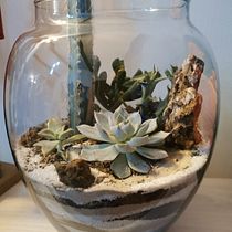 Mi Proyecto del curso: Arte vegetal: crea tu propio terrario abierto. Un proyecto de Diseño de interiores, Paisajismo, Decoración de interiores, DIY, Diseño floral y vegetal de Ana Lucia Peralta Molina - 07.12.2021