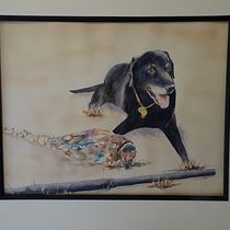My project in Expressive Animal Portraits in Watercolor course. Un projet de Illustration traditionnelle, Aquarelle, Dessin réaliste et Illustration naturaliste de Elizabeth Russell - 08.12.2021