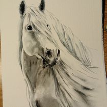 Il mio progetto del corso: Ritratti espressivi di animali ad acquerello. Un projet de Illustration traditionnelle, Aquarelle, Dessin réaliste et Illustration naturaliste de sagu1961 - 08.12.2021