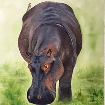 My project in Expressive Animal Portraits in Watercolor course. Un projet de Illustration traditionnelle, Aquarelle, Dessin réaliste et Illustration naturaliste de Carolann Hair - 07.12.2021
