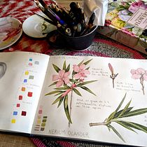 Cuaderno botánico . Projekt z dziedziny Trad, c, jna ilustracja, Malowanie akwarelą, R, sunek botaniczn i Sketchbook użytkownika Maria Lopez Zuloaga - 03.12.2021