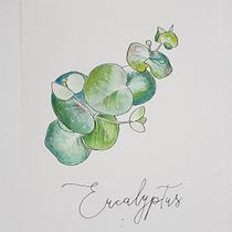 Mon projet du cours : Carnet de croquis botanique : une approche méditative. Ilustração tradicional, Esboçado, Desenho, Pintura em aquarela, Ilustração botânica, e Sketchbook projeto de annick.cohen - 09.12.2021