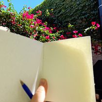 14 de febrero. Writing, Creativit, Stor, telling, and Narrative project by Luciana Machiavello - 12.10.2021