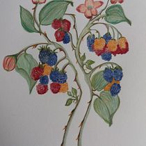 Mijn project van de cursus: Botanisch illustreren met aquarel. Ilustração tradicional, Artes plásticas, Pintura, Desenho, Pintura em aquarela e Ilustração botânica projeto de mechtildmaes - 10.12.2021