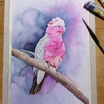 Il mio progetto del corso: Acquerello artistico per illustrazione di animali: gli uccelli. Traditional illustration, Watercolor Painting, Realistic Drawing, and Naturalistic Illustration project by Paola oglialoro - 12.10.2021