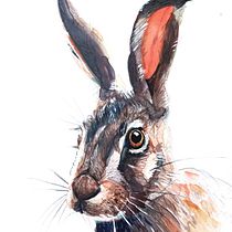 My project in Experimental Watercolor Techniques for Beginners course. Traditional illustration, Fine Arts, Watercolor Painting, and Naturalistic Illustration project by Adrián Rayón - 01.28.2022