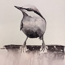 Il mio progetto del corso: Acquerello artistico per illustrazione di animali: gli uccelli. Traditional illustration, Watercolor Painting, Realistic Drawing, and Naturalistic Illustration project by lorsino - 12.12.2021