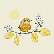 Mijn project van de cursus: Naturalistische illustratie met balpen. Projekt z dziedziny Trad, c, jna ilustracja,  R, sunek, R, sunek realist, czn, Ilustracja naturalist i czna użytkownika silentgirl - 12.12.2021