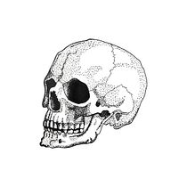 My project in Blackwork Tattoo Design course. Un projet de Illustration traditionnelle, Illustration numérique , et Conception de tatouage de Louise Sumner - 13.12.2021