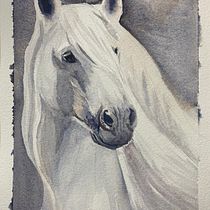 My project in Expressive Animal Portraits in Watercolor course. Projekt z dziedziny Trad, c, jna ilustracja, Malowanie akwarelą, R, sunek realist, czn, Ilustracja naturalist i czna użytkownika Natalie Mironychev - 13.12.2021