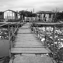 Meu projeto do curso: Fotografia profissional: gestão de carreira para freelance. Un progetto di Fotografia, Consulenza creativa e Gestione progetti di design di Jorge Leão - 13.12.2021