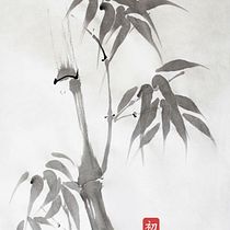  Sumi-e / Shikunshi. Traditional illustration, Drawing & Ink Illustration project by Sebastián Cruz Ledesma - 12.13.2021