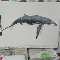 Mi Proyecto del curso: Técnicas de ilustración naturalista: ballenas en acuarela. Un progetto di Belle arti, Pittura, Pittura ad acquerello e Illustrazione naturalistica di riveraibaceta - 12.12.2021