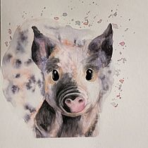 My project in Expressive Animal Portraits in Watercolor course. Un projet de Illustration traditionnelle, Aquarelle, Dessin réaliste et Illustration naturaliste de lena_tsch - 14.12.2021