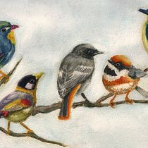 Il mio progetto del corso: Acquerello artistico per illustrazione di animali: gli uccelli. Traditional illustration, Watercolor Painting, Realistic Drawing, and Naturalistic Illustration project by Erica Orru - 12.14.2021